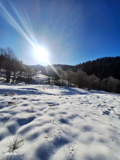 Teren de 8700 mp, în Tărlungeni