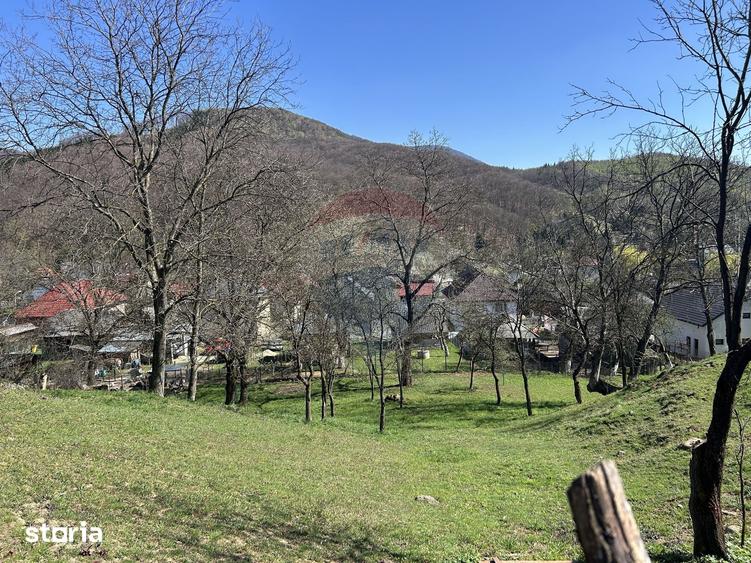 Teren de 1106 mp, în Firiza