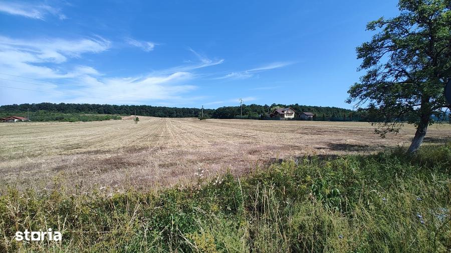 Teren de 70000 mp, în Bârsău