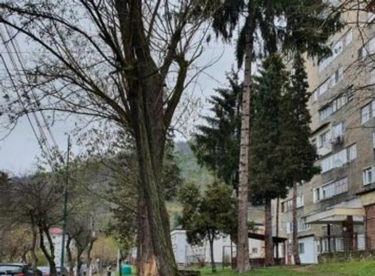 Garsonieră decomandată în Nord