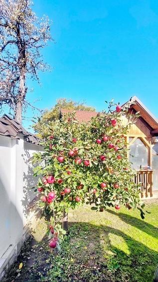 Casă individuală cu 5 camere cu Canalizare în Florilor