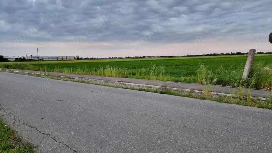 Teren de 30000 mp, în Filipeștii de Târg