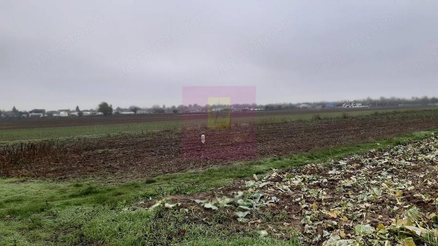 Teren de 2250 mp, în 1 Decembrie