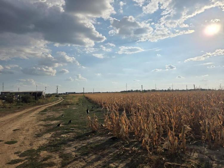 Teren intravilan de 105777 mp, în Nord-Est
