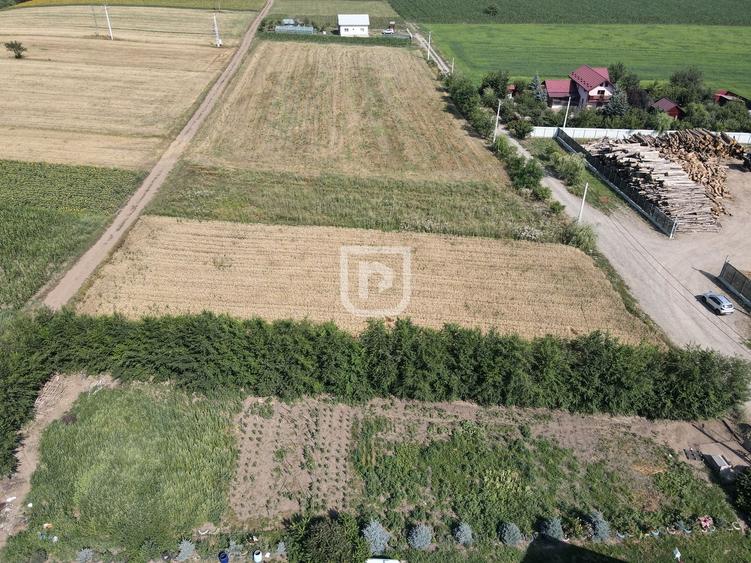 Teren Construcții intravilan de 2000 mp, în Ilișești