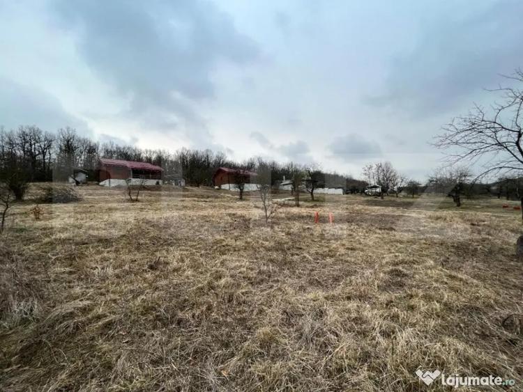 REDUCERE!!! Teren extravilan 5.613 mp, livada, zona Prede? - 2