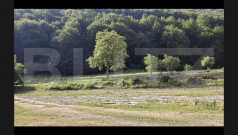 Oportunitate rara in Moroeni 20.000 mp intravilan, parcel - 3