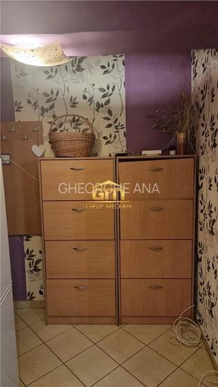 Apartament 2 camere, parter, mobilat - Petri #537;or