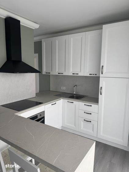Penthouse premium de inchiriat - 3