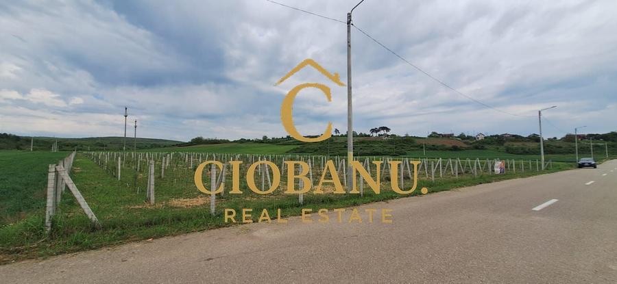 Teren agricol intravilan de 9000 mp, în Exterior Nord