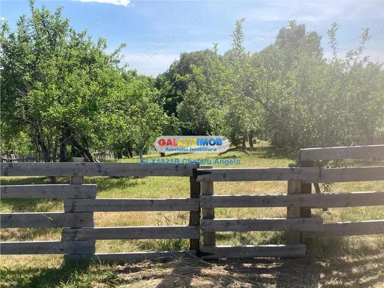 Casă cu 2 camere cu Teren 2000 Mp în Băbana