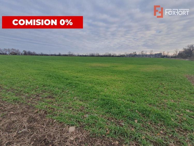 Teren agricol extravilan de 213257 mp, în Sud