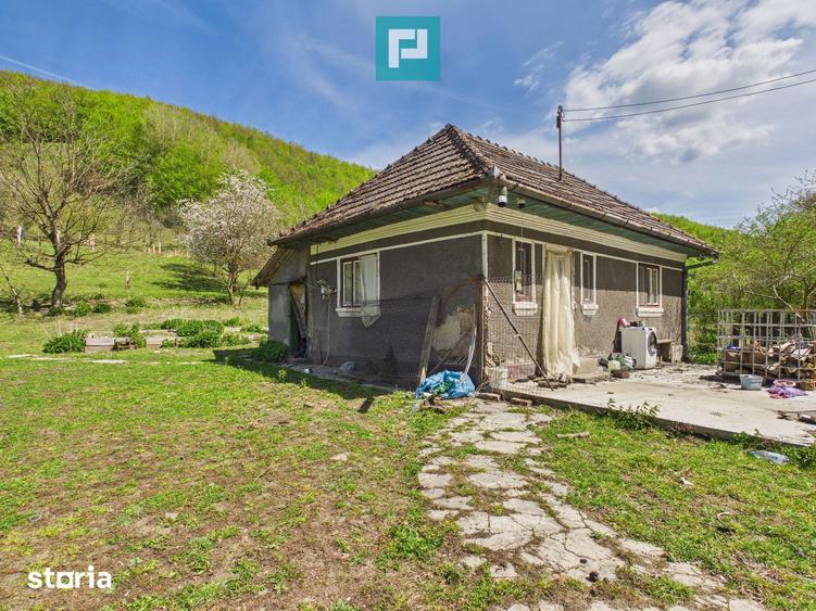 Teren de 6837 mp, în Luncoiu de Jos