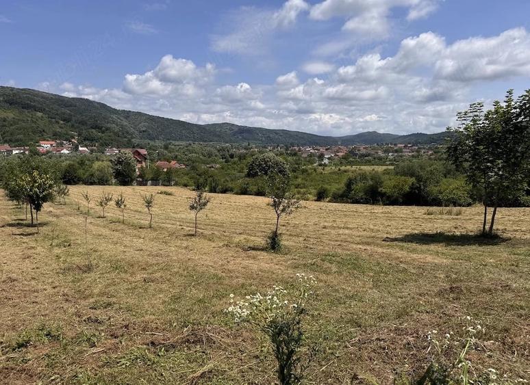 Teren de 4000 mp, în Central