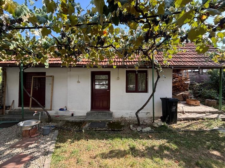 Casă individuală cu 3 camere cu Canalizare în Arcani