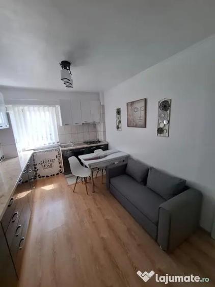 De inchiriat apartament 1 camere Buzaului - 5