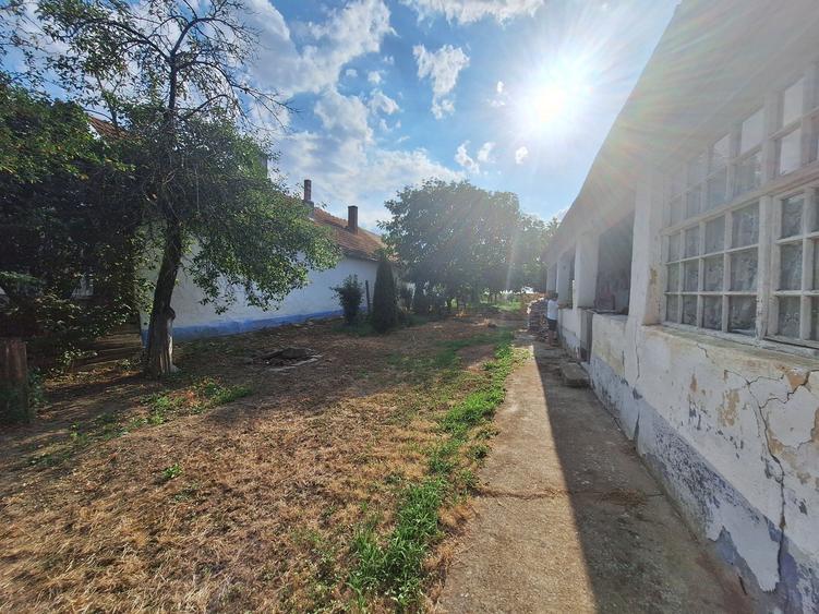 Casa cu teren urias (3.655 mp) in centrul satului Cenalos, com. Saniob la 3 km de Baile Sarcau - 8
