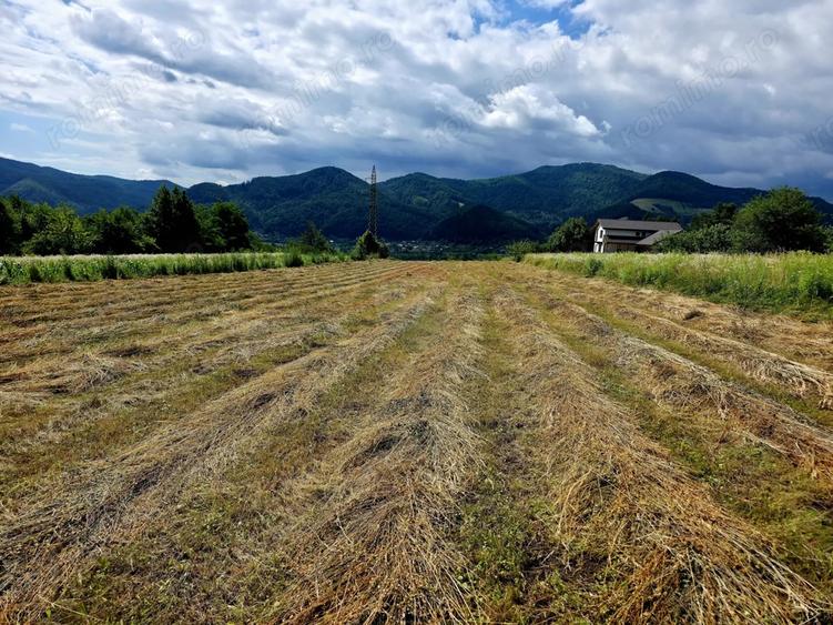 Teren de 680 mp, în Viișoara
