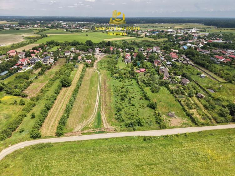 Teren Construcții intravilan de 3114 mp, în Ciolpani