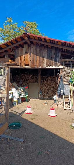 Casă cu 3 camere cu Teren 5000 Mp în Gurasada
