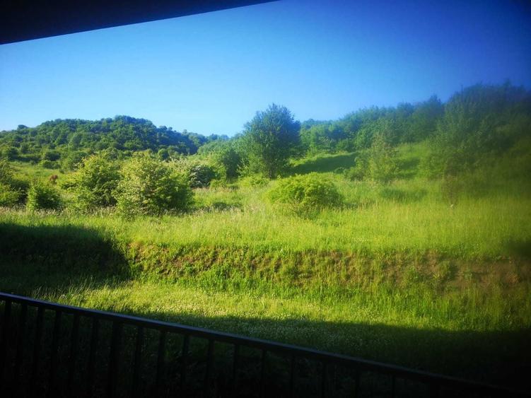 Apartament cu 3 camere semidecomandat în Florești