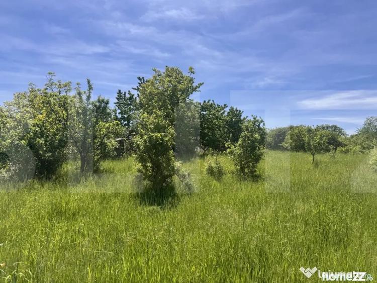 Teren în Cucorăni