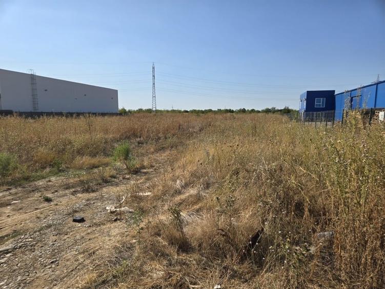 Teren Construcții intravilan de 3970 mp, în Cernica