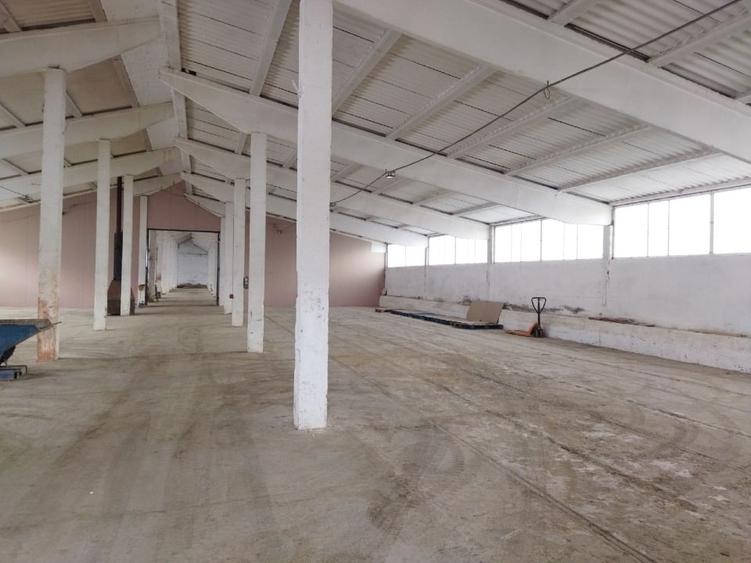 Spațiu industrial, de 1,881 mp, în Cechești