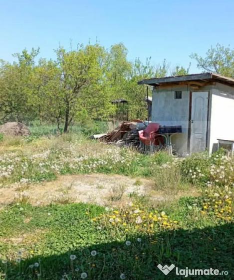 Casă cu 2 camere cu Teren 1100 Mp în Mica