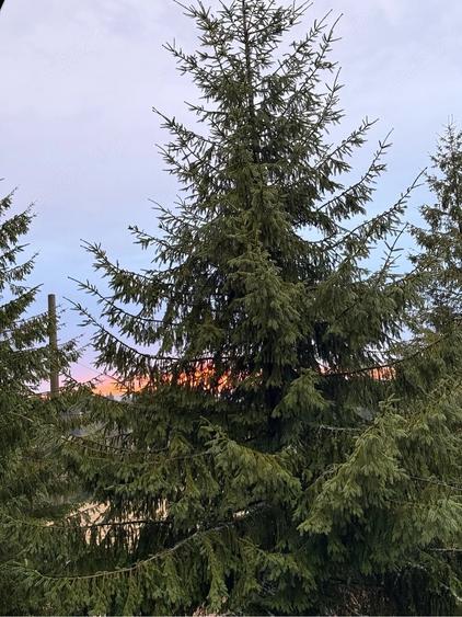 Casă cu Teren 1100 Mp în Central