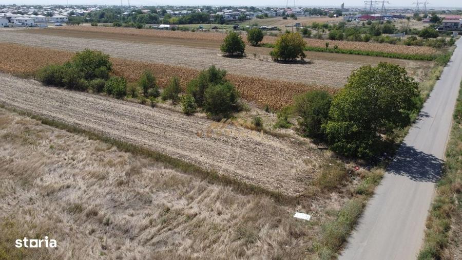 Teren intrare comuna Berceni, Codrului, 430 mp - 9