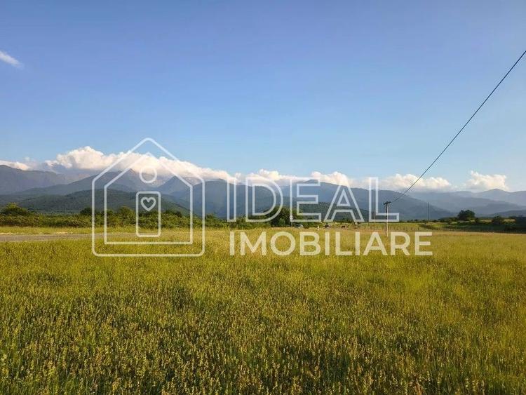 Teren agricol extravilan de 1800 mp, în Cârțișoara