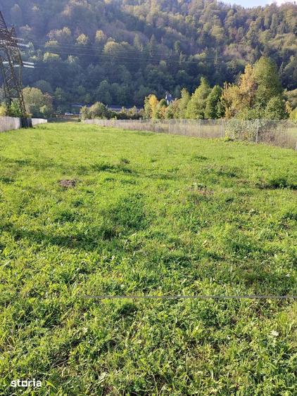 Teren de 2860 mp, în Pângărați