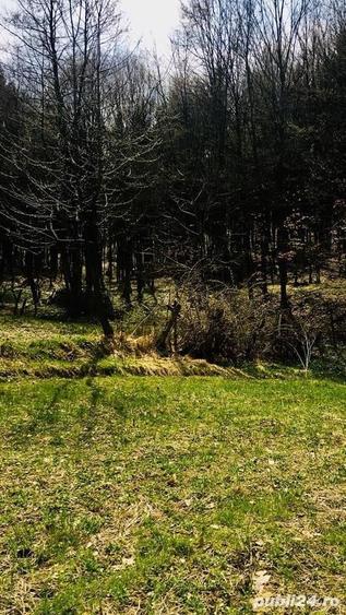 Teren de 5000 mp, în Central
