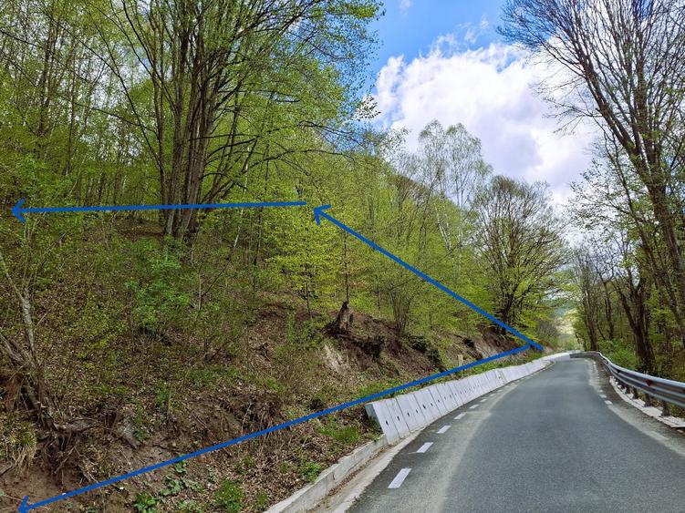 Teren agricol extravilan de 7548 mp, în Măcărești