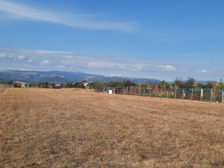 Teren agricol extravilan de 1500 mp, în Șelimbăr