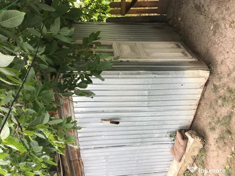 Casă cu 4 camere în Viișoara