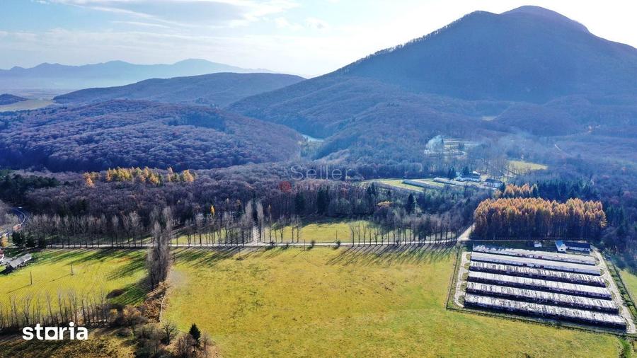Teren de 186000 mp, în Dumbrăvița