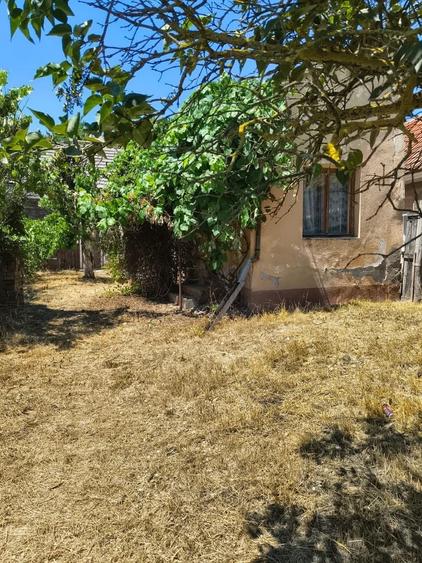 Casă cu 3 camere în Chesinț