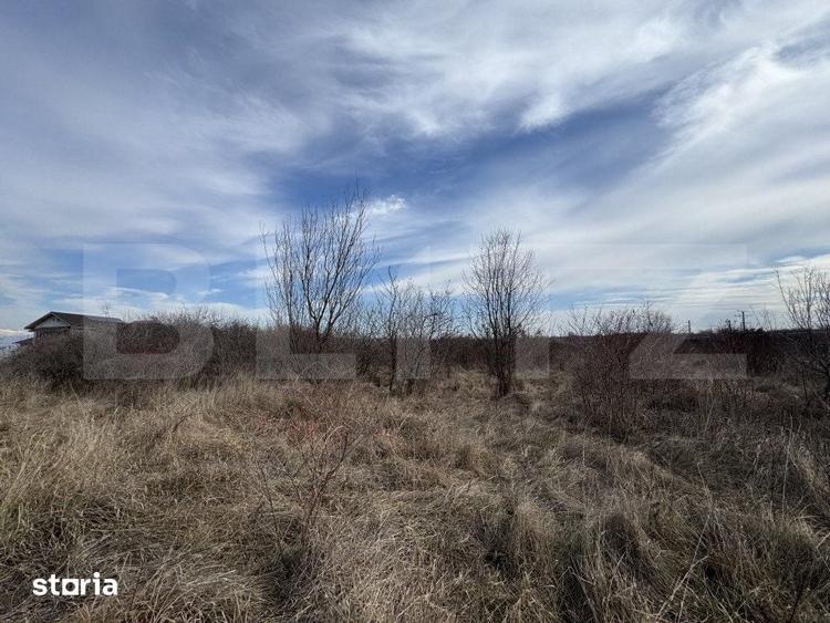 Teren extravilan de vanzare, 15.000 mp, zona Narcise II - 3
