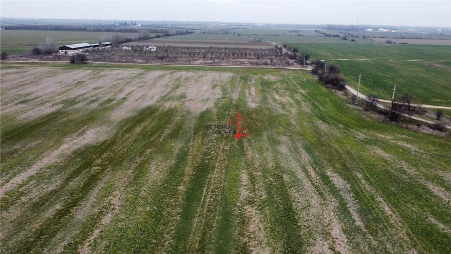 Teren agricol extravilan de 5800 mp, în Cornetu