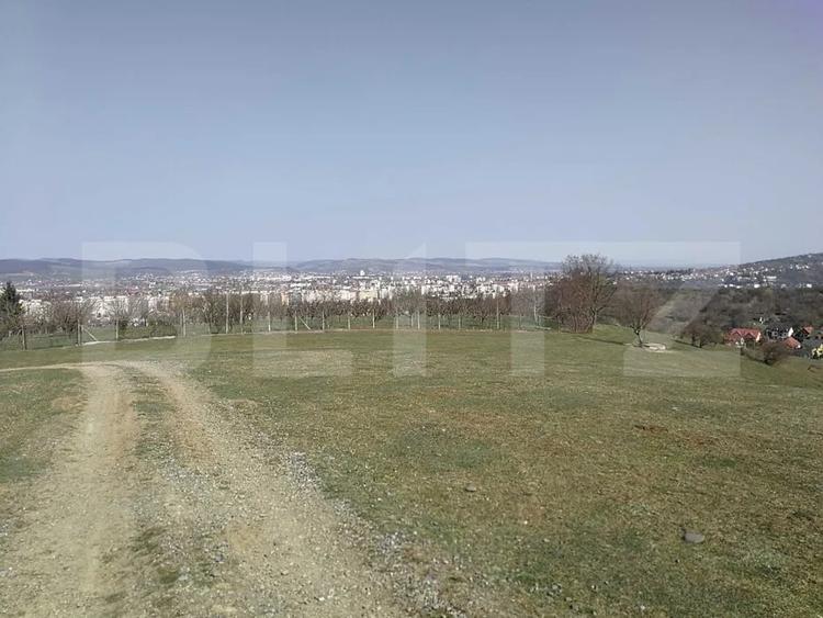 Teren Construcții intravilan de 15904 mp, în Dâmbu Pietros