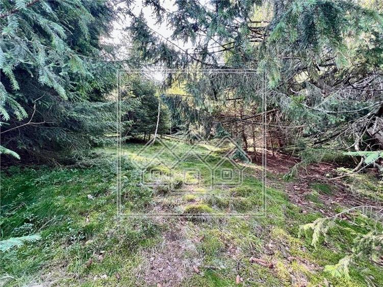 Teren agricol extravilan de 11200 mp, în Păltiniș