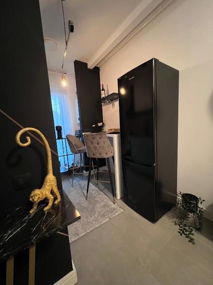 Studio dublu Aviatiei 10 min metrou Aurel Valicu , Promenada Mall, Herastrau - 1