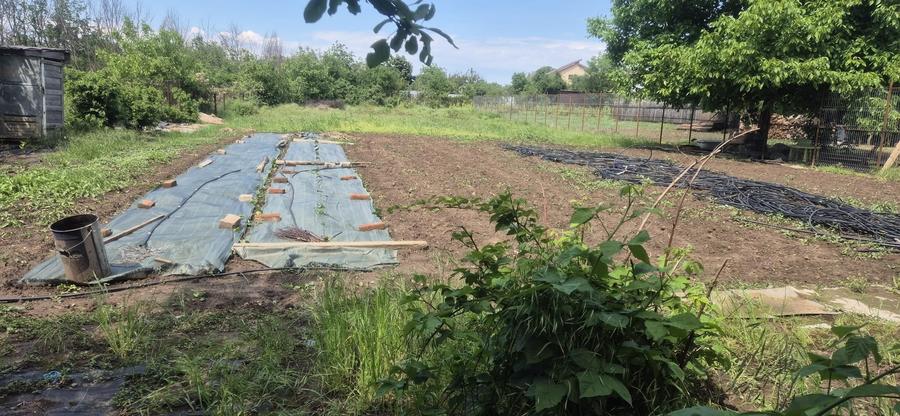 Teren Construcții intravilan de 2026 mp, în Nord