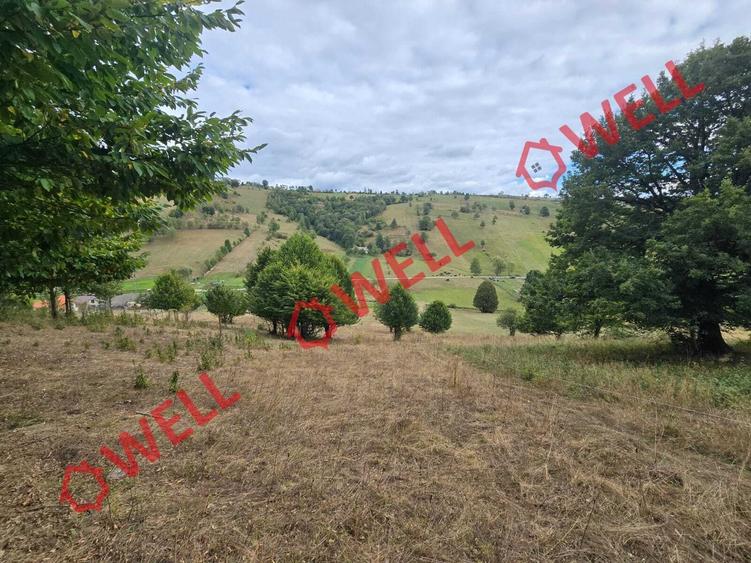 Teren intravilan de 3878 mp, în Barcani