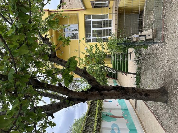 Casă cu 3 camere cu Teren 365 Mp în Tineretului