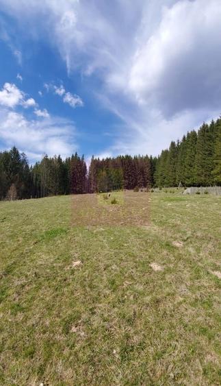 Teren intravilan 2500 mp in Valea Doftanei - 6