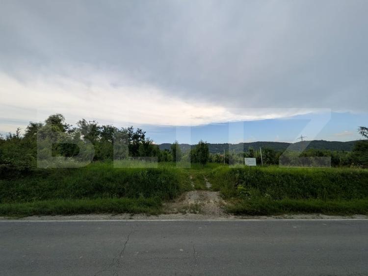 Teren Construcții intravilan de 4500 mp, în Voinești