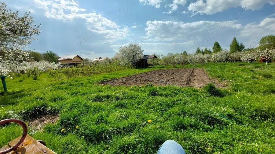 Teren de 5000 mp, în Pietroasa